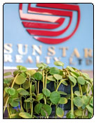 Lily Worden | Management Administrator